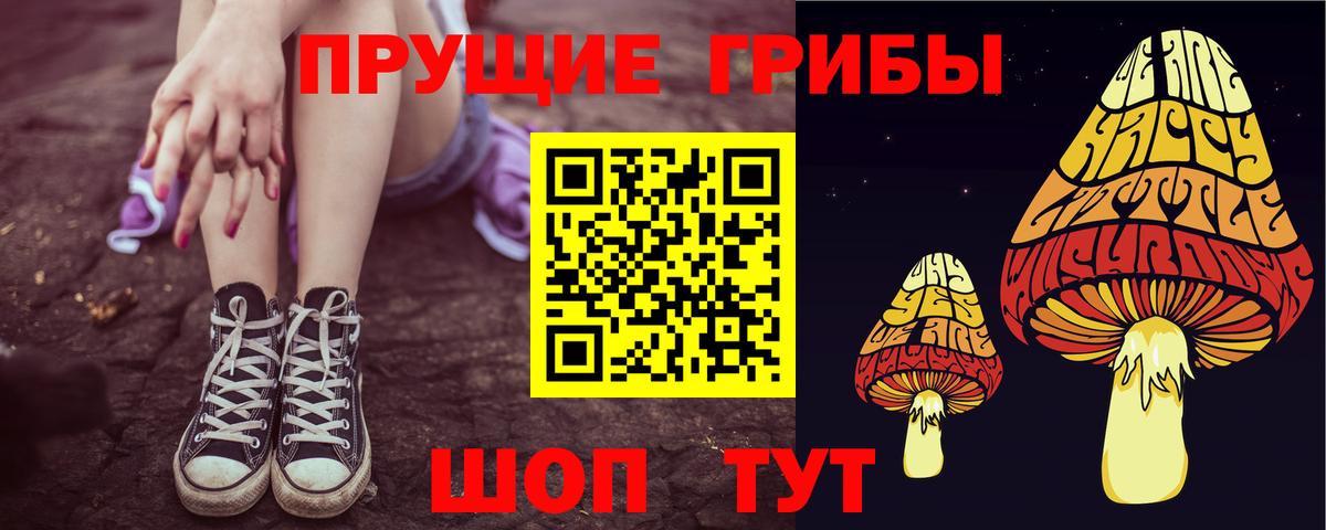 Псилоцибиновые грибы мицелий Кстово